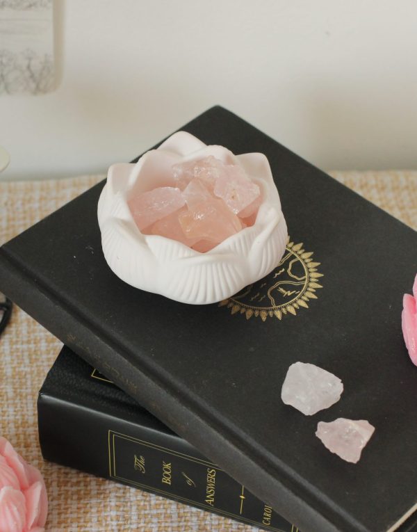 Lotus Gipsbecher "Zen" – Bild 7