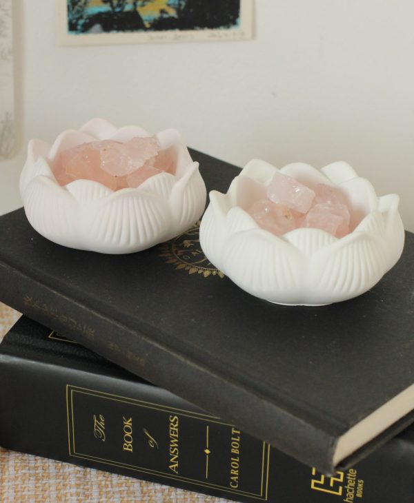 Lotus Gipsbecher "Zen" – Bild 5