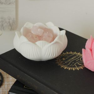 Lotus Gipsbecher "Zen"