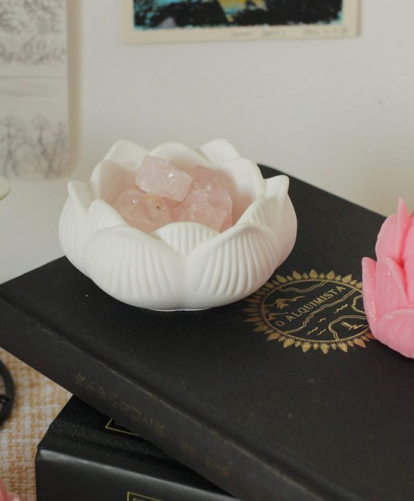 Lotus Gipsbecher "Zen"