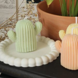 Kaktus Stumpenkerze "Cactus"