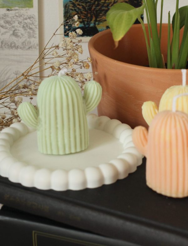 Kaktus Stumpenkerze "Cactus"