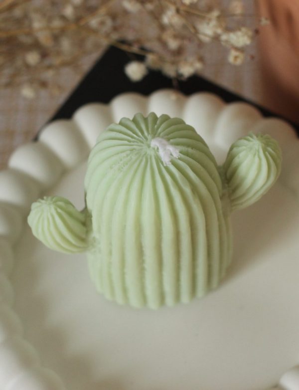 Kaktus Stumpenkerze "Cactus" – Bild 5