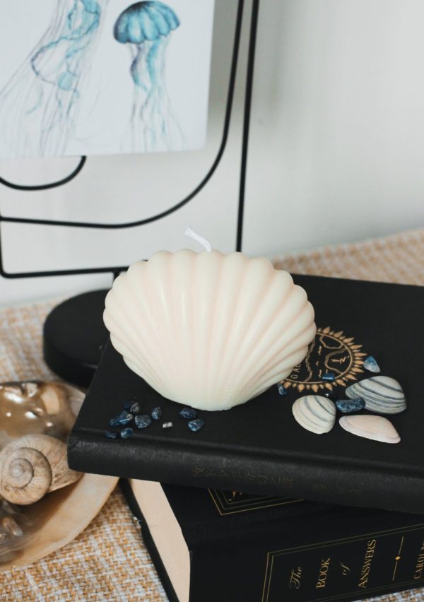 Muschel Stumpenkerze "Shell"
