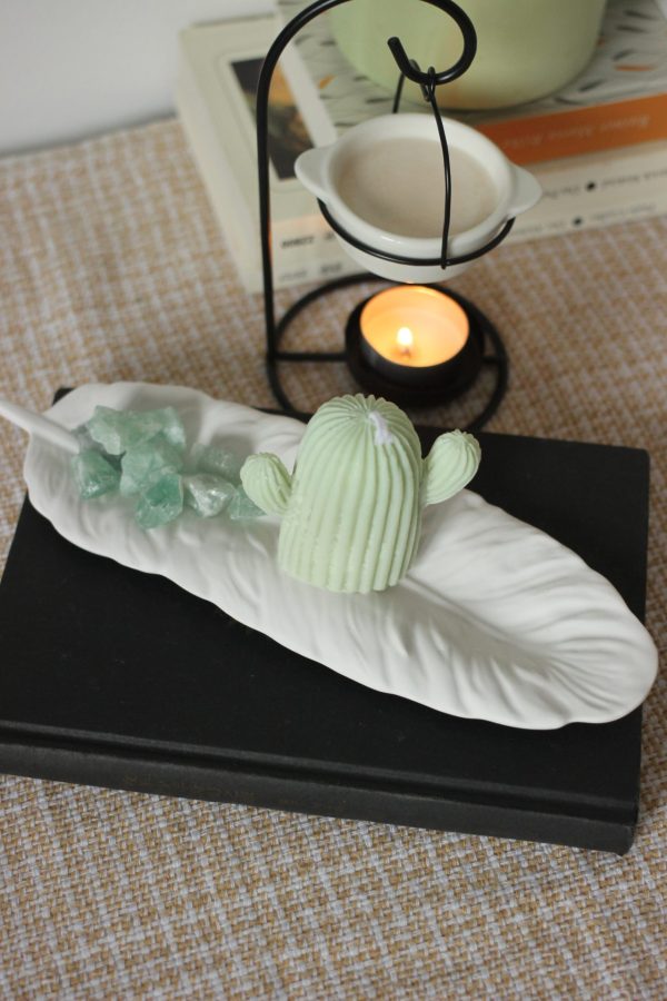 Kaktus Stumpenkerze "Cactus" – Bild 3