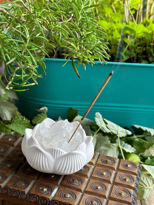 Lotus Gipsbecher "Zen" – Bild 3